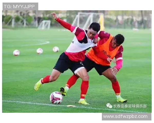 南京足球队耐力分析与战术调整的深度探讨与展望