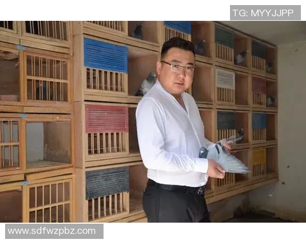 与刘丽的对话：回顾她的足球生涯与未来展望