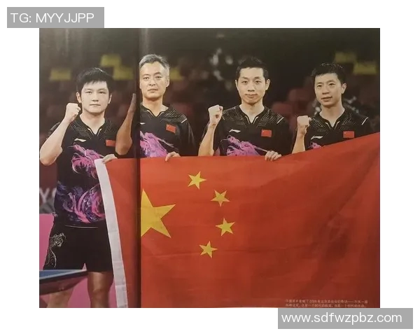 南京乒乓球队状态分析与表现评估的全面数据研究报告
