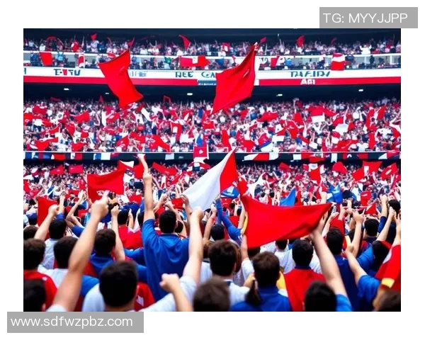 杭州足球队灵活性引发热议球迷与专家的不同看法分析