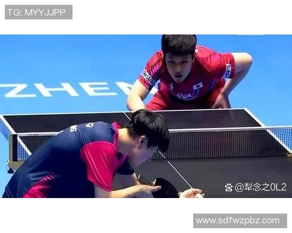 赛后分析：西安乒乓球队与北京乒乓球队技术对决的深度剖析与启示