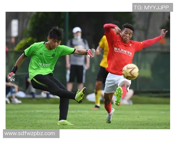 足球明星在绿茵场上尽显风采的高清踢球瞬间图片集锦