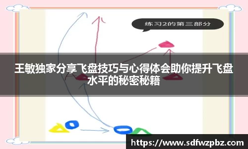 王敏独家分享飞盘技巧与心得体会助你提升飞盘水平的秘密秘籍