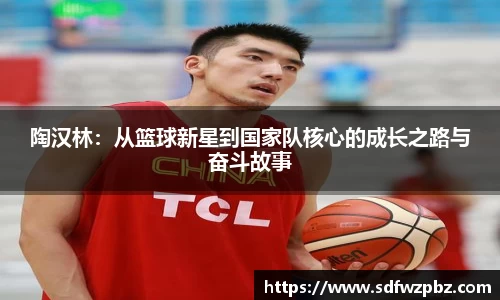 陶汉林：从篮球新星到国家队核心的成长之路与奋斗故事