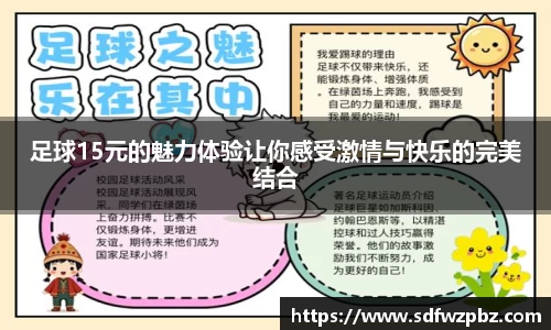 足球15元的魅力体验让你感受激情与快乐的完美结合